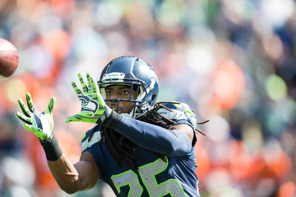 Seattle Seahawks Exhibit — Curious Beast