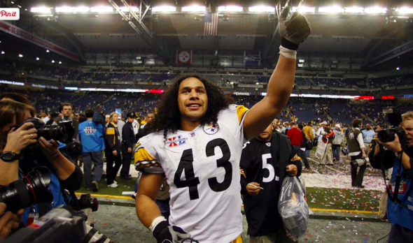 jersey de troy polamalu